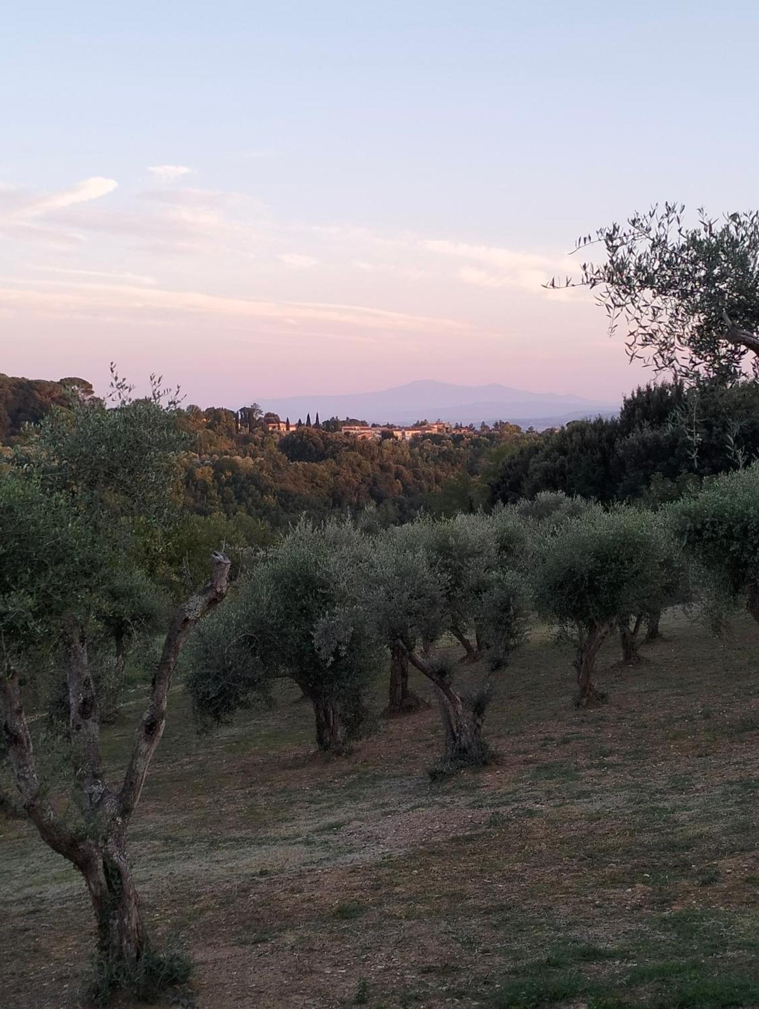 Agli Olivi Di Marciano Apartman Siena Kültér fotó