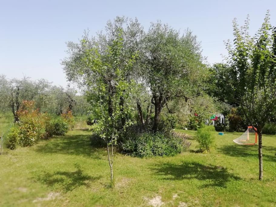 Agli Olivi Di Marciano Apartman Siena Kültér fotó
