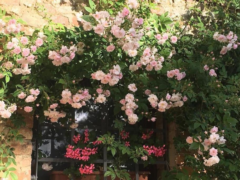 Agli Olivi Di Marciano Apartman Siena Kültér fotó